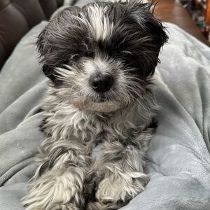 Meet your Posher, Katherine